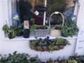 /album/a2011-photos1/a10022011354-small-jpg1/